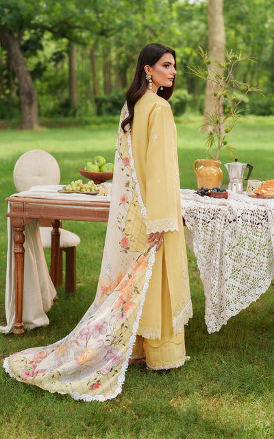 Eden Cambric Unstitched Collections