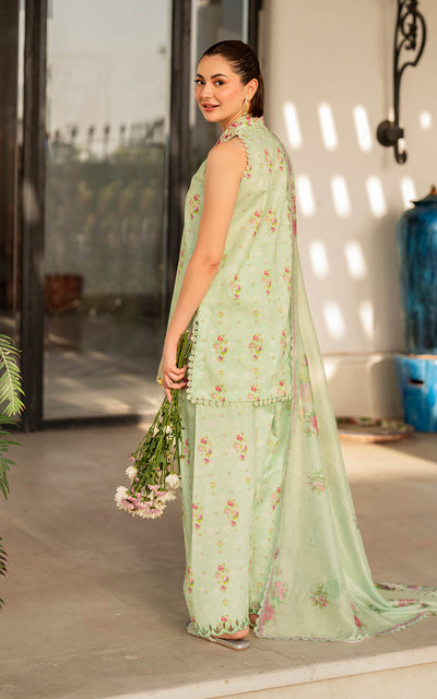 Gul-e-Rana MK-11 | Unstitched Lawn