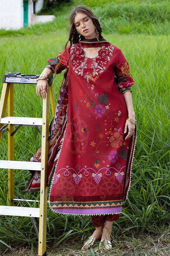 Hemline Mirasol Collections