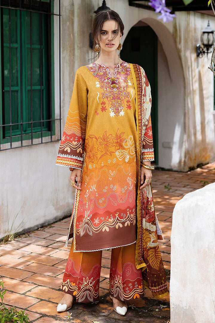 Hemline Mirasol Collections