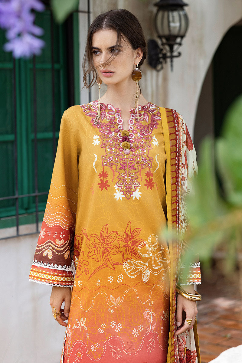 Hemline Mirasol Collections