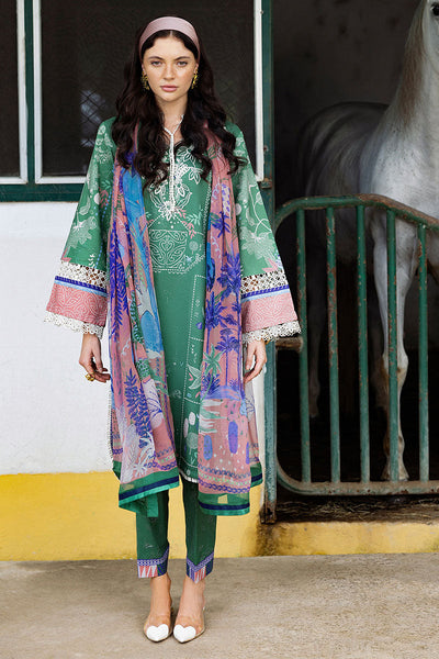 Hemline Mirasol Collections