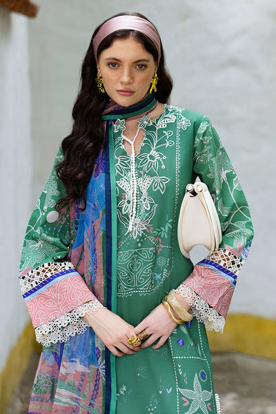 Hemline Mirasol Collections