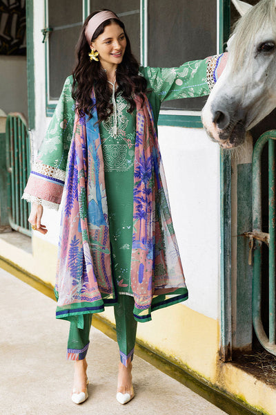 Hemline Mirasol Collections