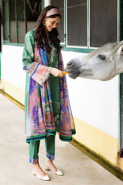 Hemline Mirasol Collections
