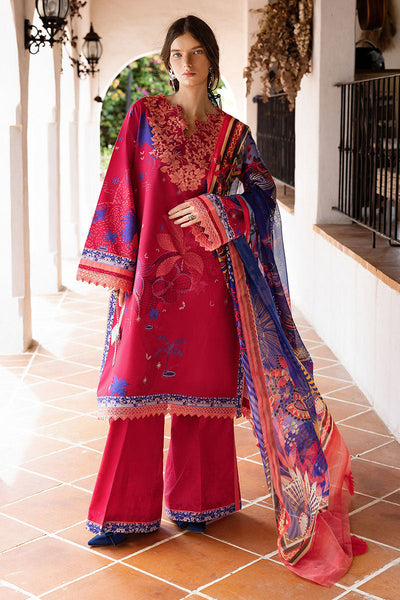 Hemline Mirasol Collections