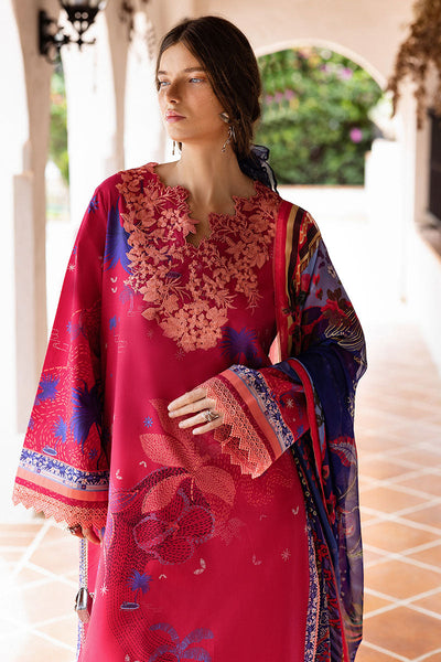Hemline Mirasol Collections