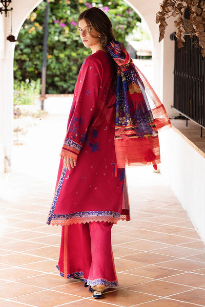 Hemline Mirasol Collections