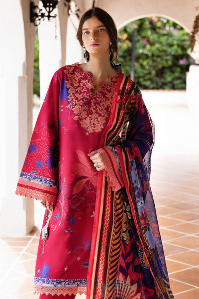 Hemline Mirasol Collections