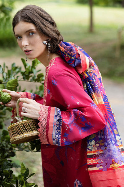 Hemline Mirasol Collections