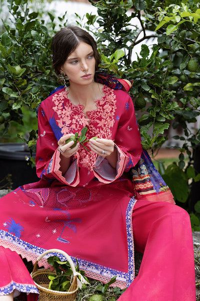 Hemline Mirasol Collections