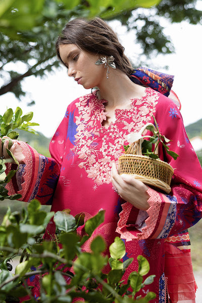 Hemline Mirasol Collections