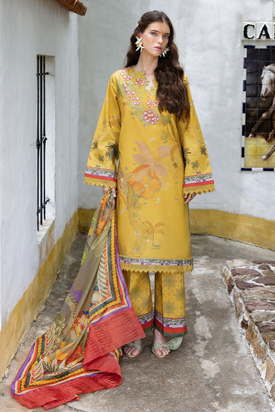 Hemline Mirasol Collections