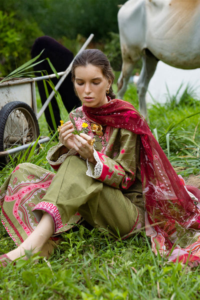 Hemline Mirasol Collections