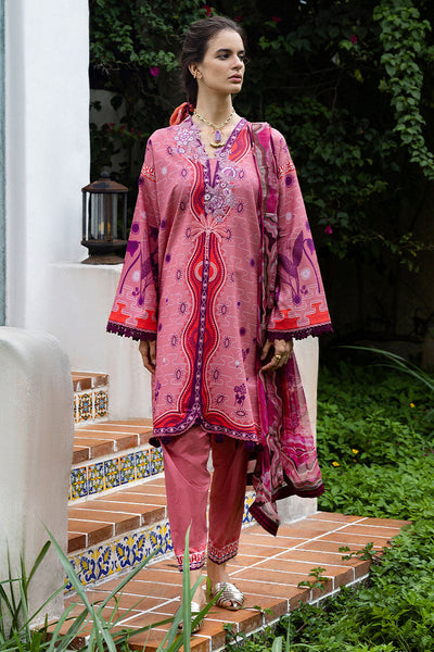 Hemline Mirasol Collections