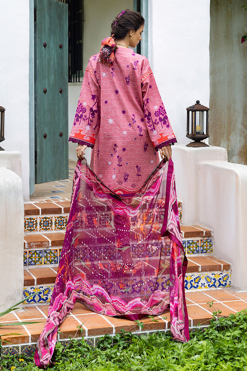 Hemline Mirasol Collections