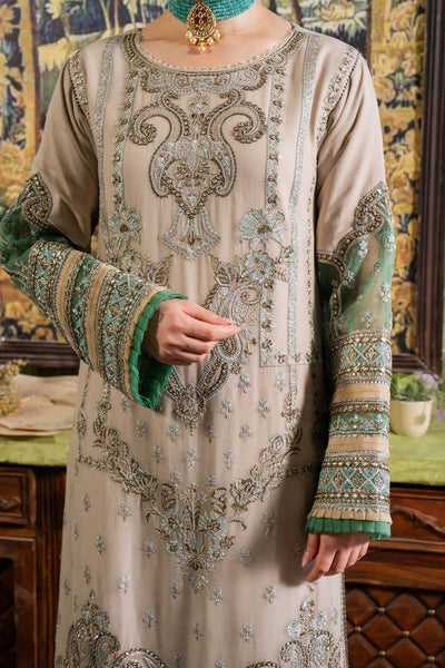 Naina Chiffon Collection