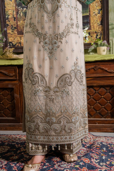 Naina Chiffon Collection