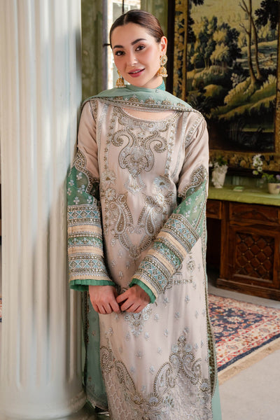 Naina Chiffon Collection