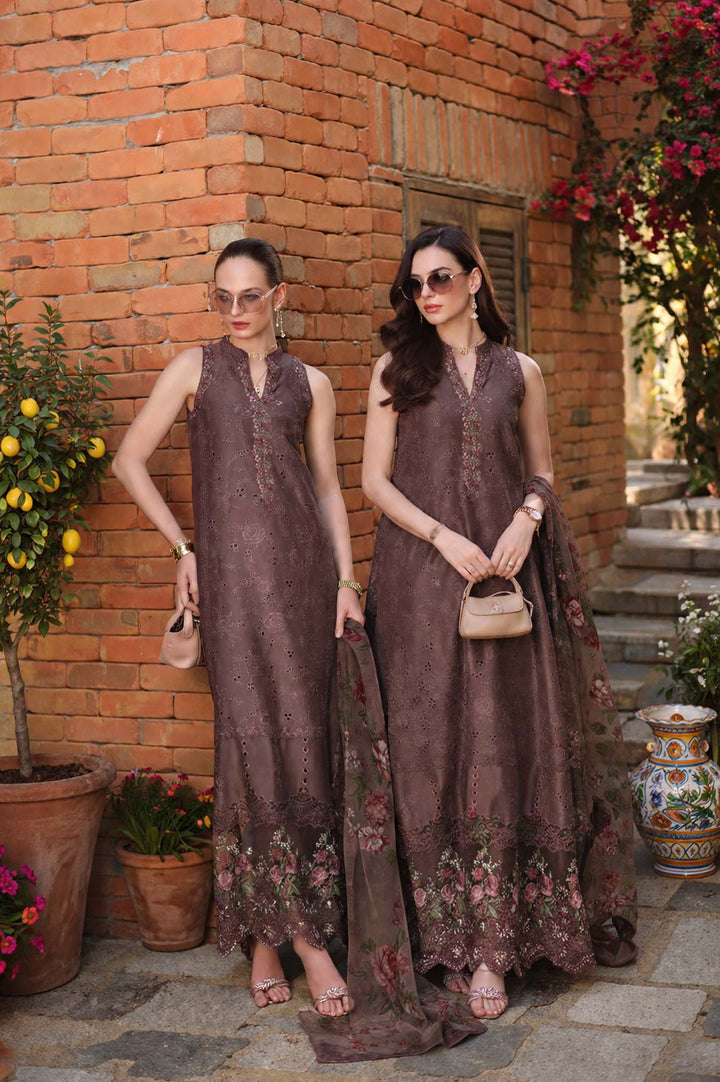 Noor Luxury Eid Schiffli Laserkari &