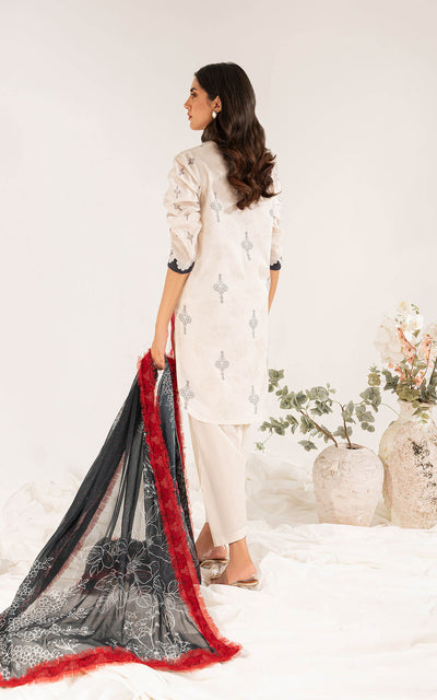 Asifa & Nabeel-Printed Unstitched Lawn LL-10