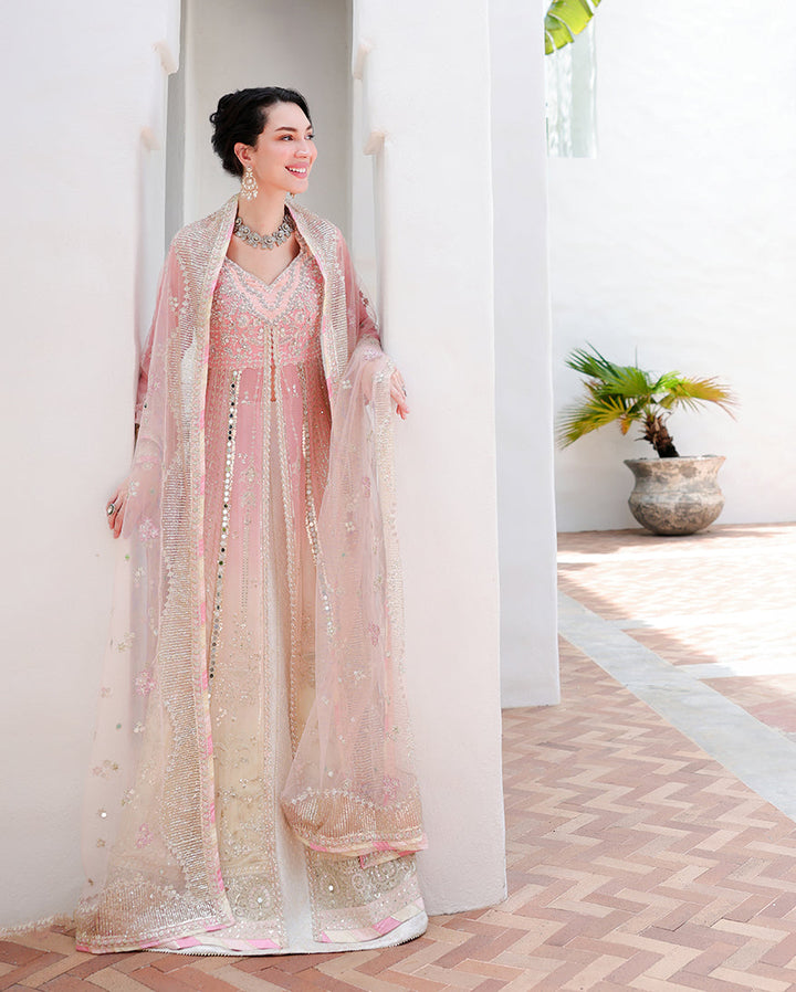 Bachelorette Chronicles | Chiffon