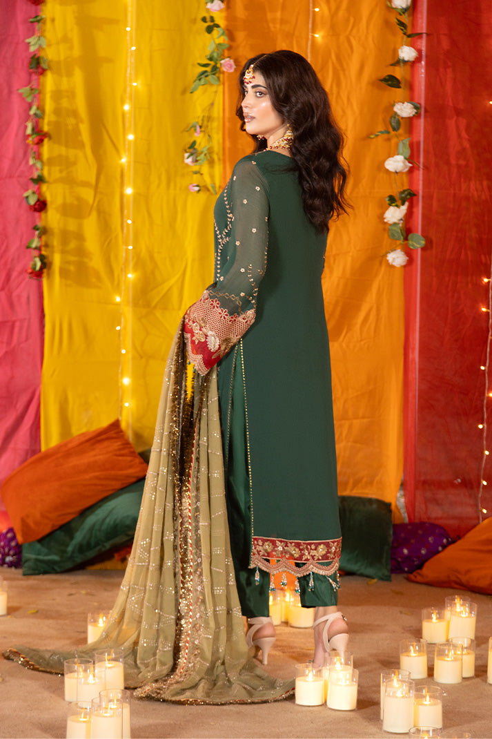 Shagun Embroidered Chiffon