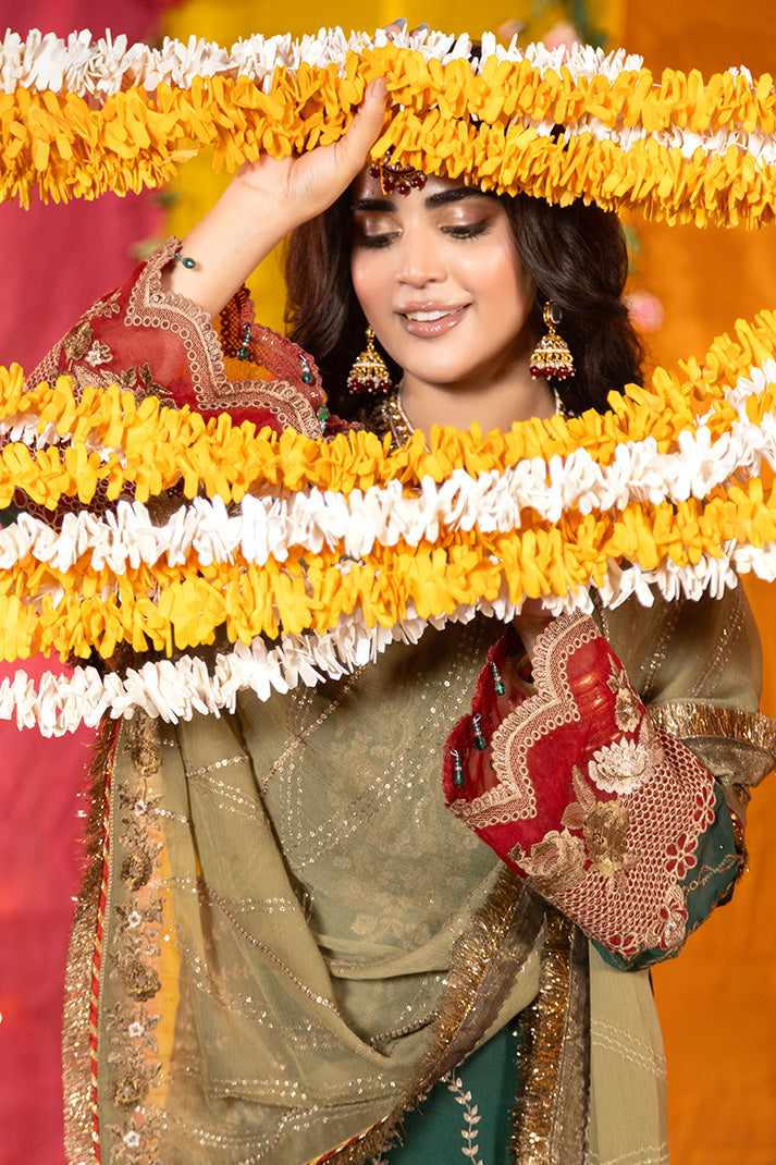 Shagun Embroidered Chiffon
