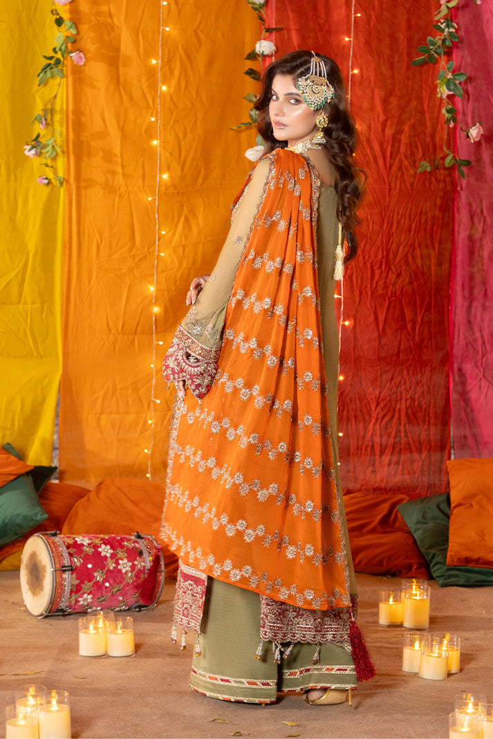 Shagun Embroidered Chiffon
