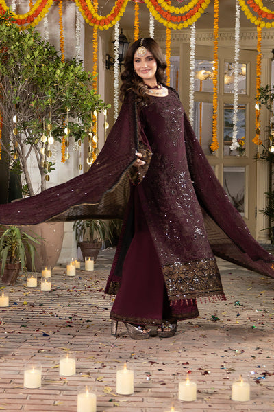 Shagun Embroidered Chiffon