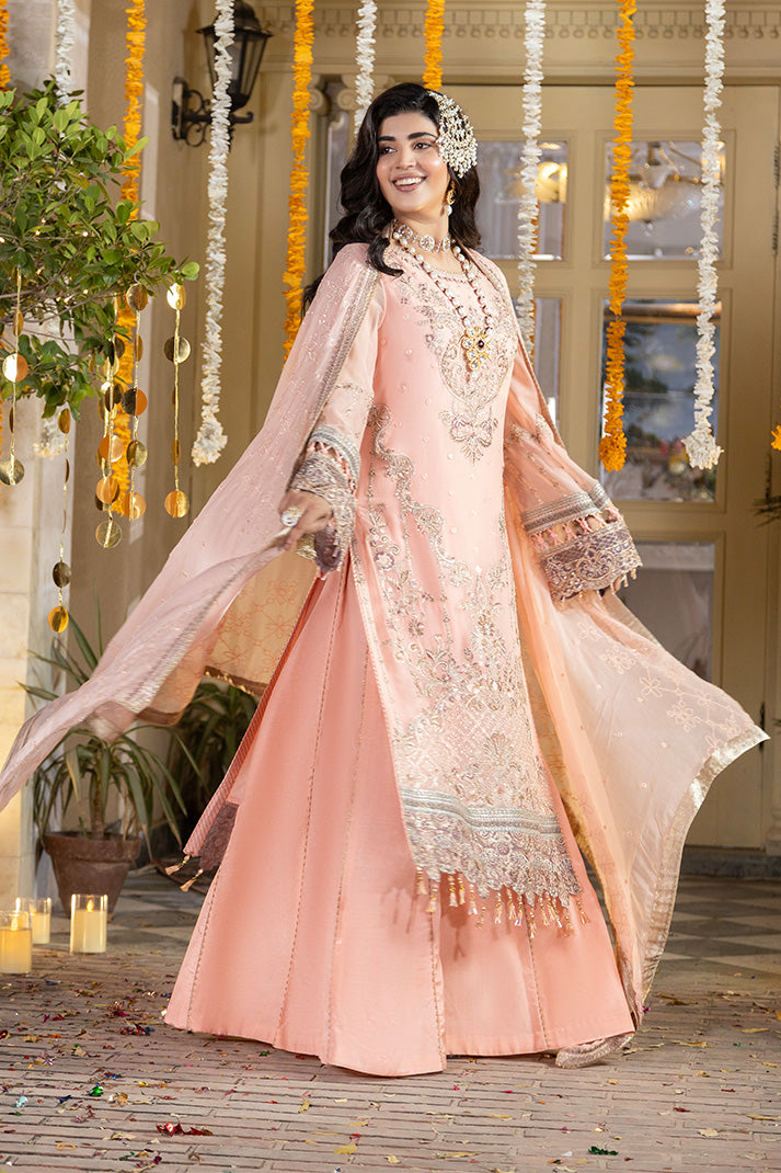 Shagun Embroidered Chiffon