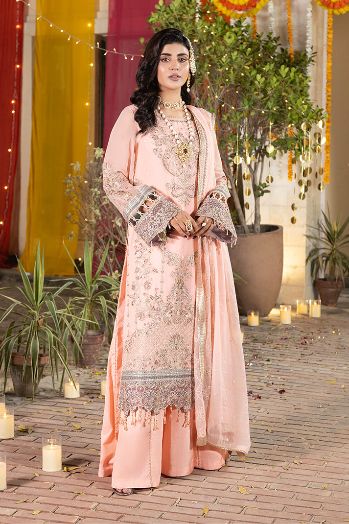 Shagun Embroidered Chiffon