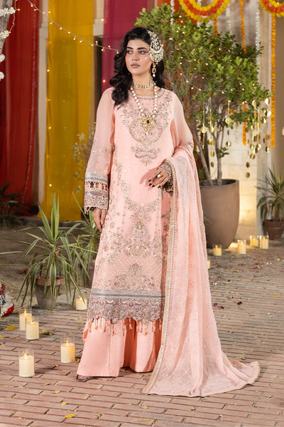 Shagun Embroidered Chiffon