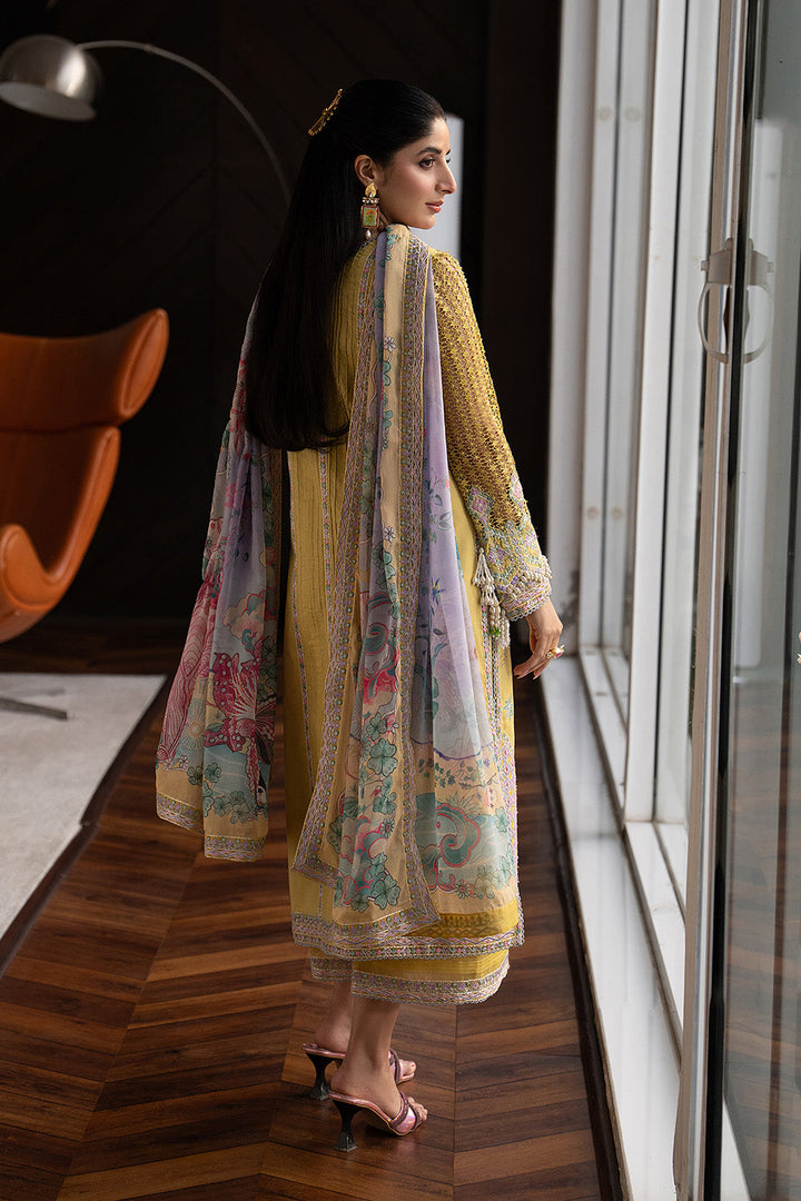 Exclusive Summer Lawn