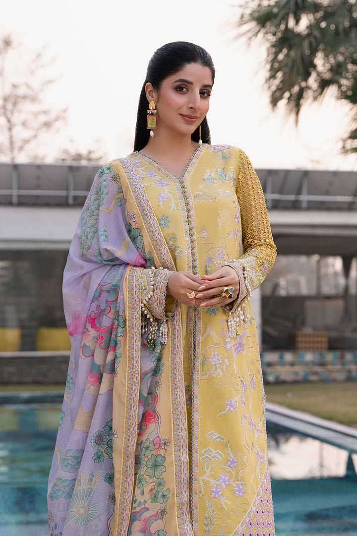 Exclusive Summer Lawn