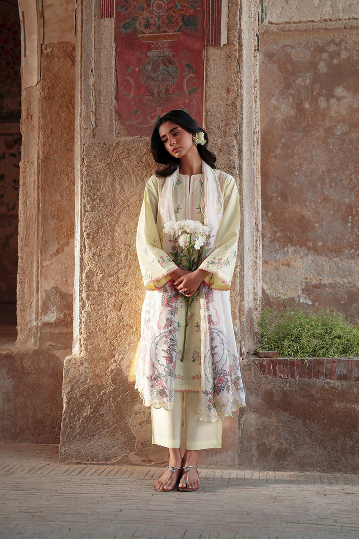 Rumi Summer Lawn