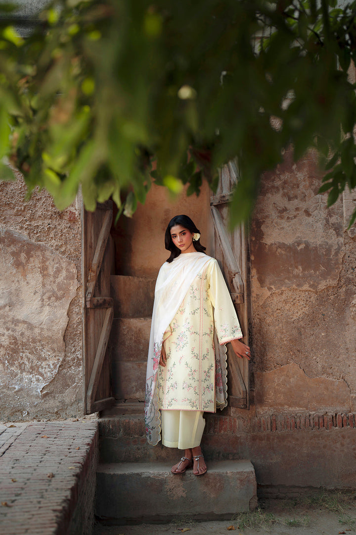 Rumi Summer Lawn