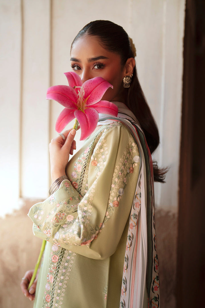 Rumi Summer Lawn