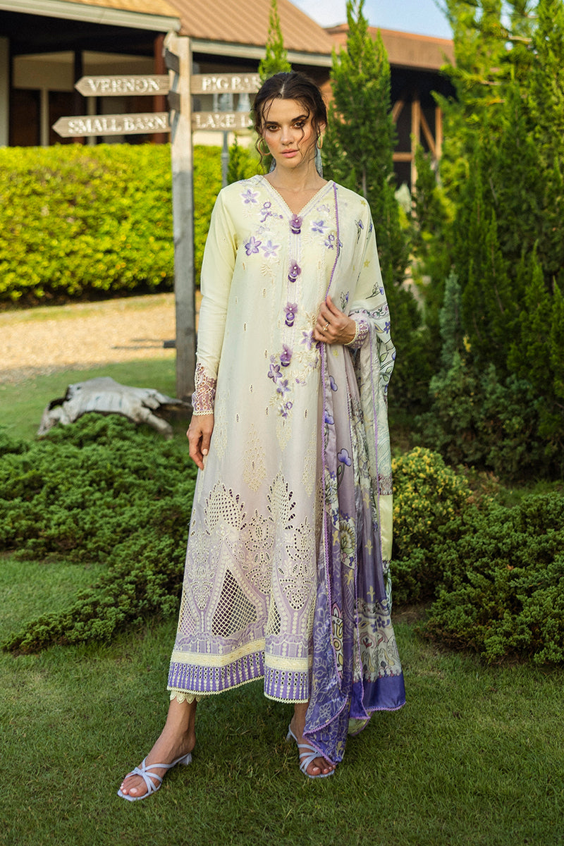 Solace Ombre Chikankari