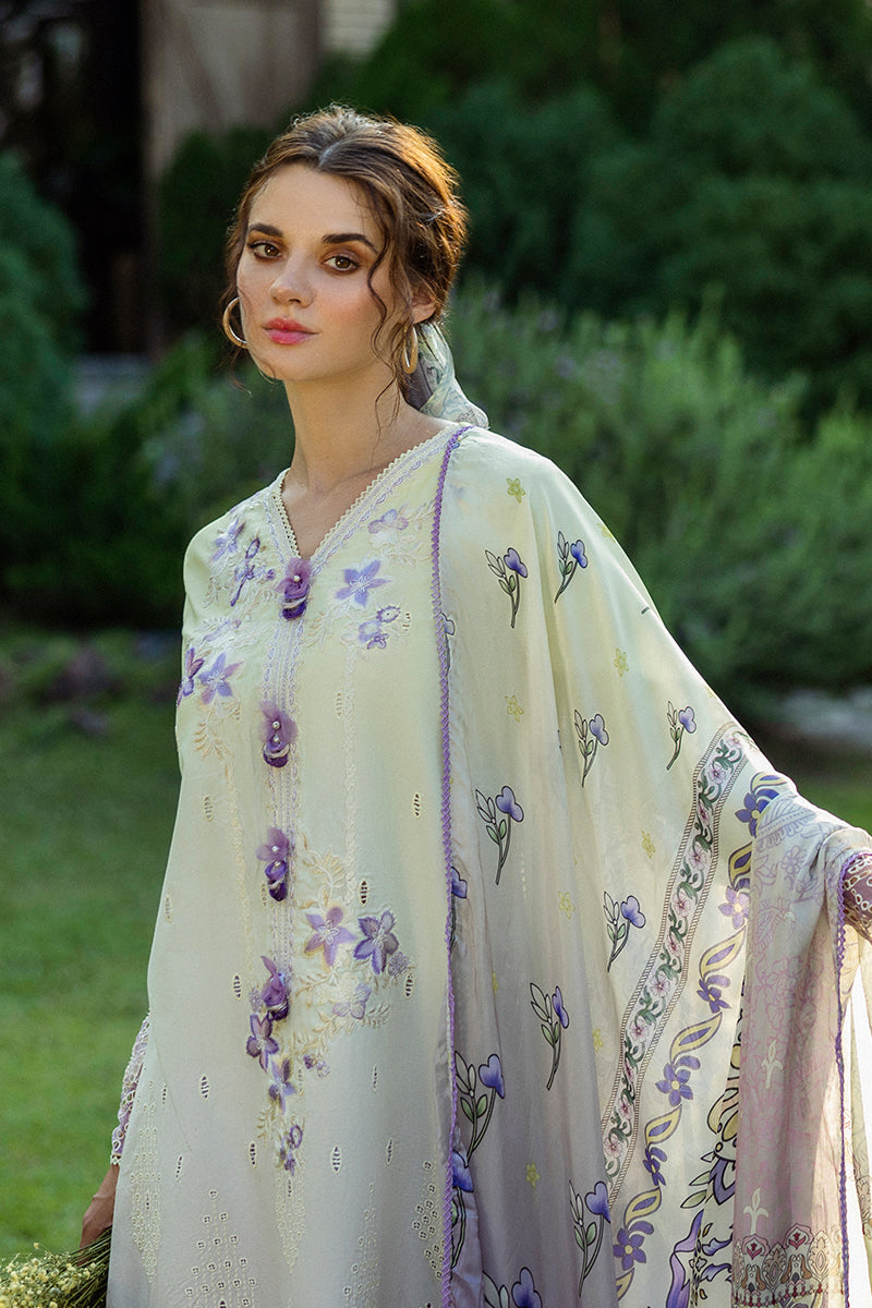 Solace Ombre Chikankari