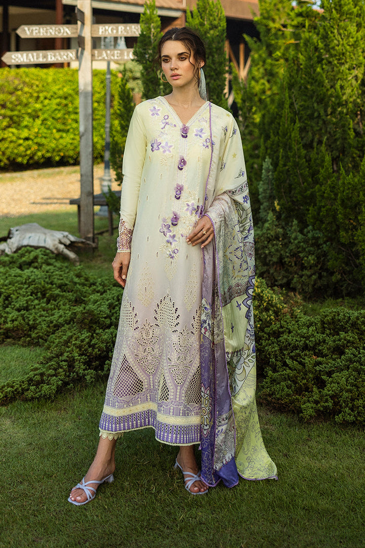 Solace Ombre Chikankari