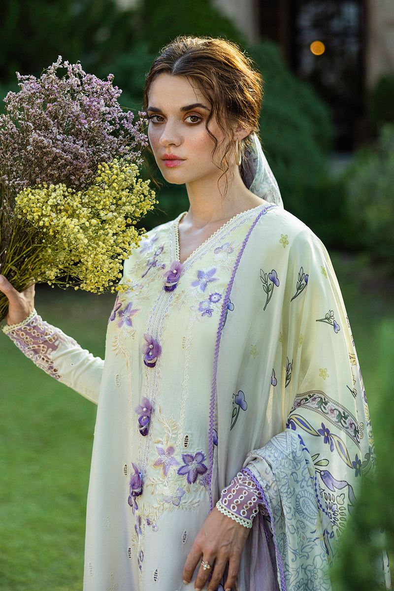 Solace Ombre Chikankari