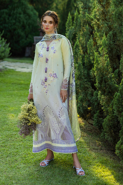 Solace Ombre Chikankari