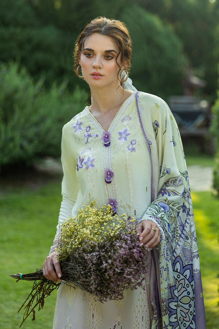 Solace Ombre Chikankari