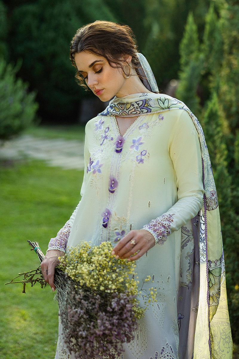 Solace Ombre Chikankari