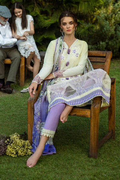 Solace Ombre Chikankari