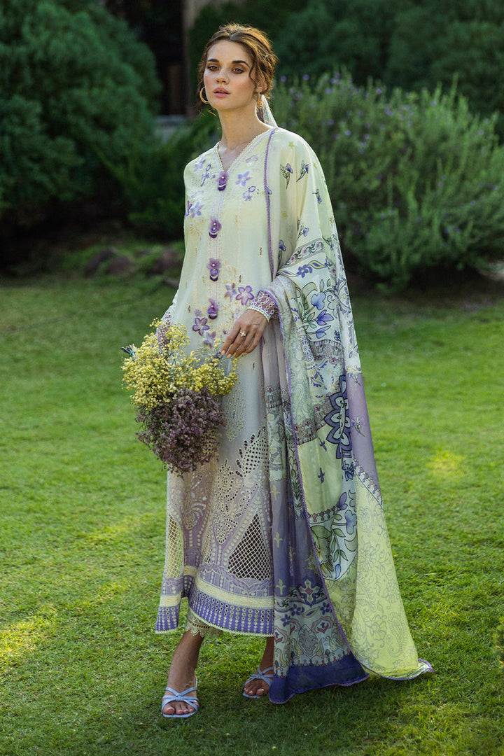 Solace Ombre Chikankari