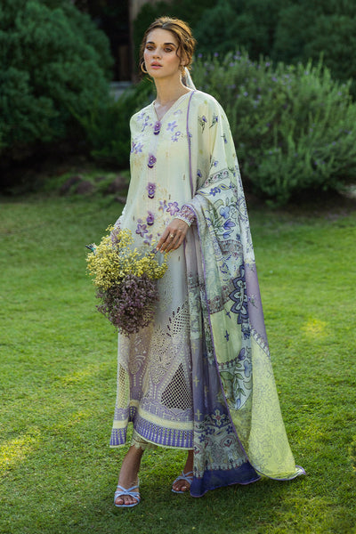 Solace Ombre Chikankari