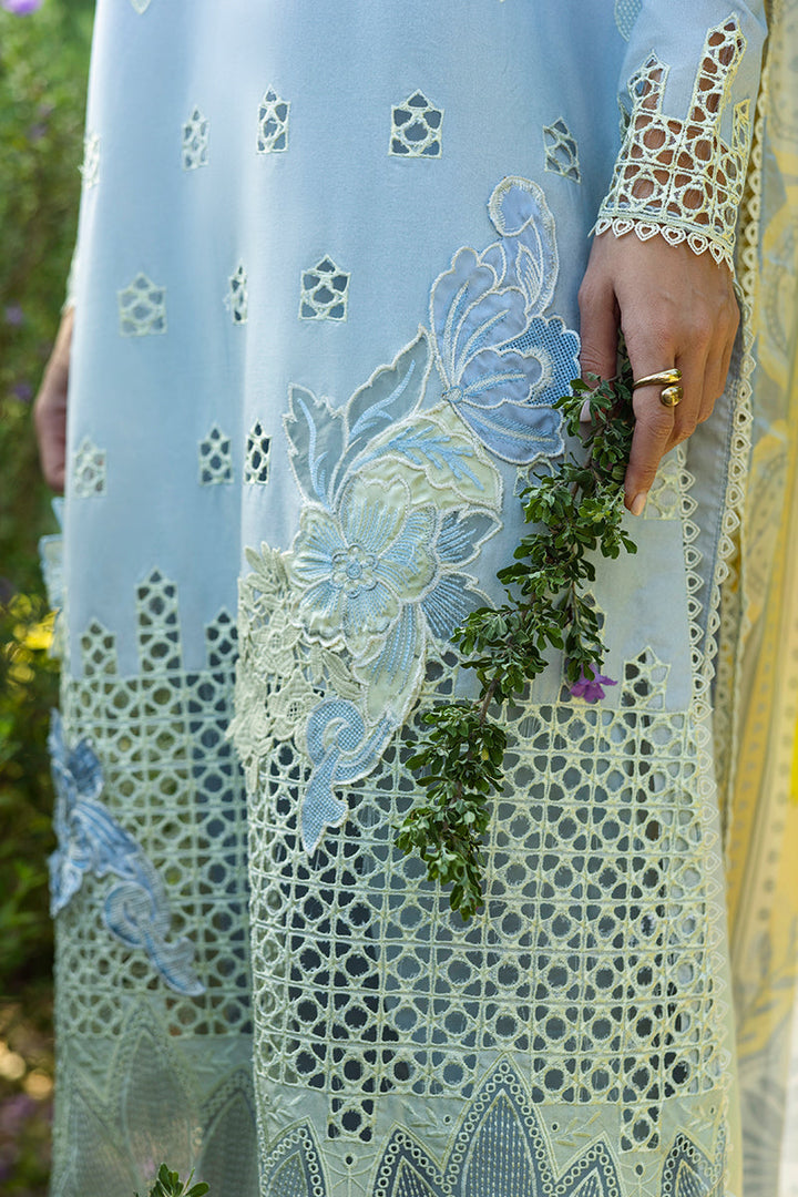 Solace Ombre Chikankari