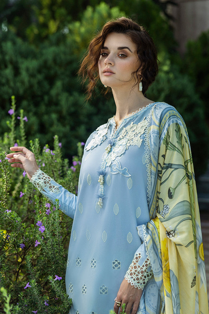Solace Ombre Chikankari